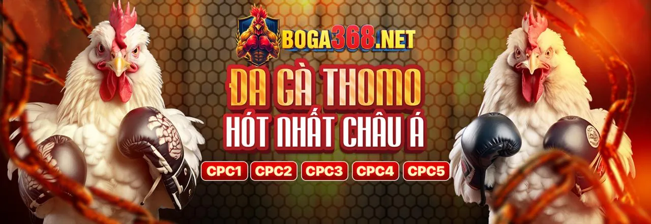 Các trò chơi giải trí đa dạng tại Suncity888
